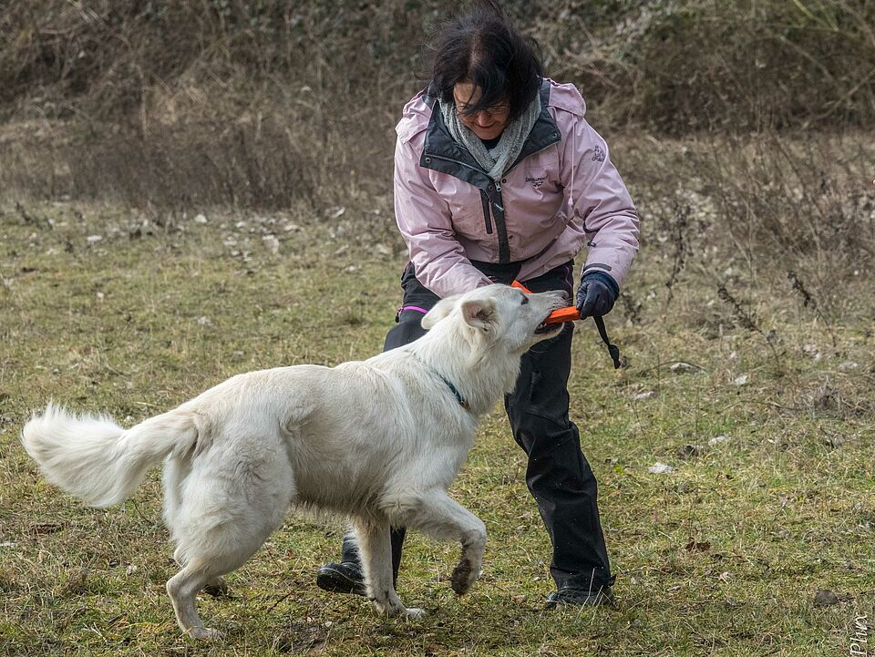 "Kathy spielt mit Nanook"