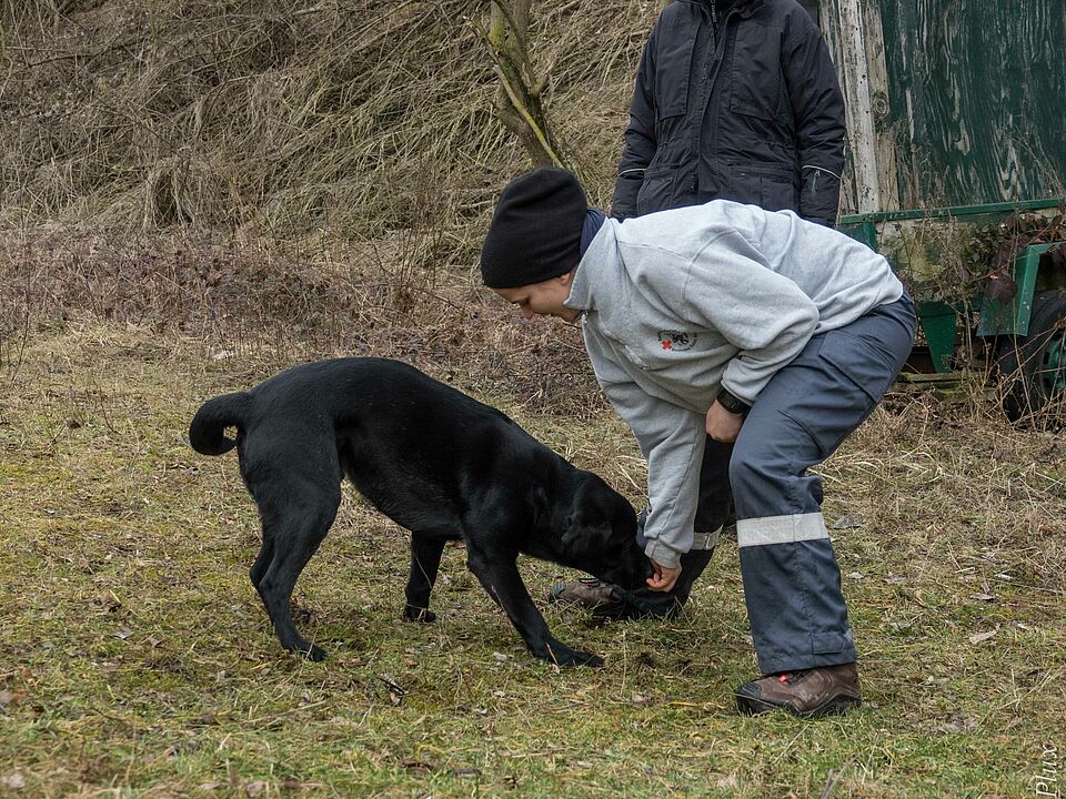 "Carl spielt mit Nero"