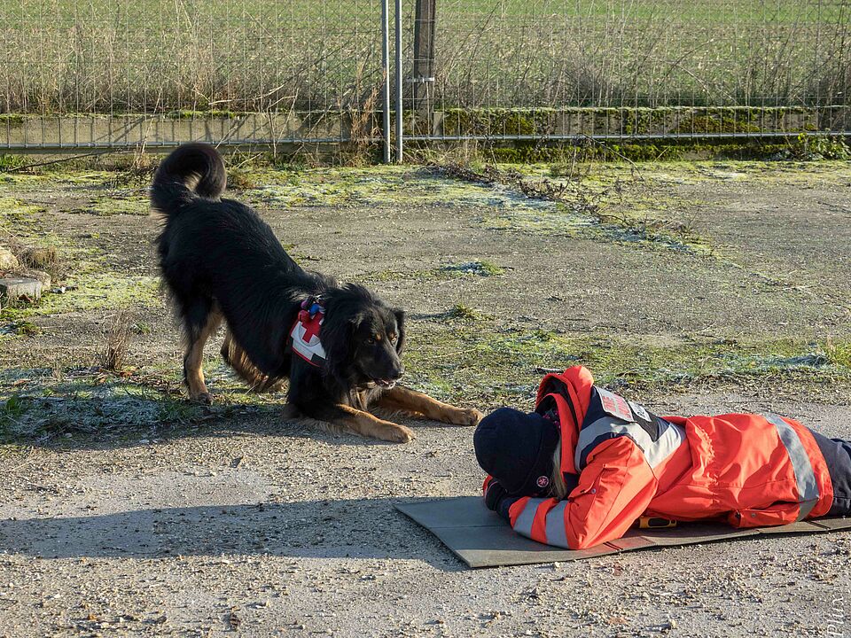 "Toni bei der Anzeige"